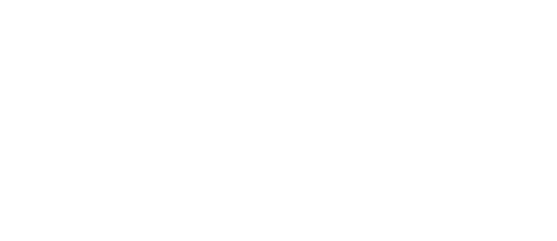 Duuzz Logo
